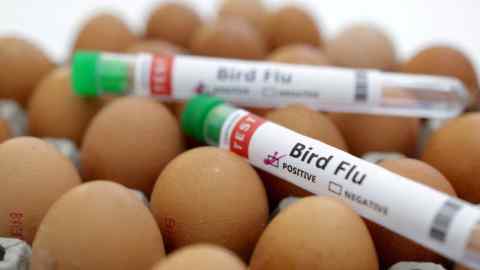 Test tubes labeled ‘bird flu’ and eggs