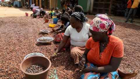 Women prepare cocoa beans in Soubré, Ivory Coast