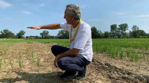 Fabio Camisani, Lombardy rice farmer