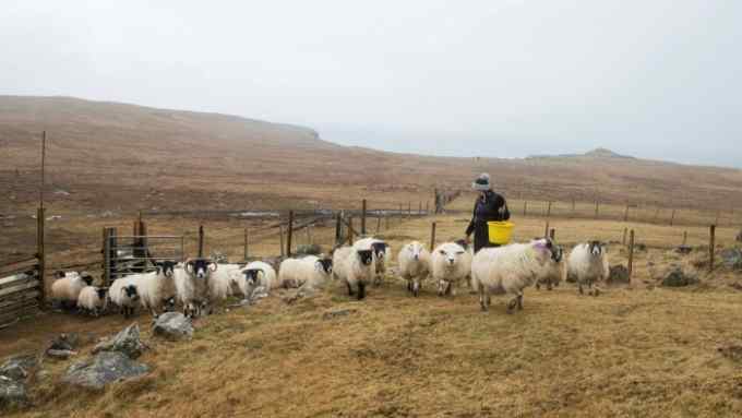 Jackie Craig, a crofter on the Scottish island of Lewis