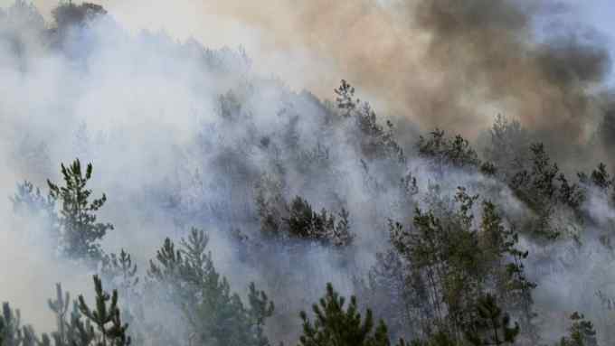 Smoke rises from the forest due to a wildfire in Orosh, Mirdite, Albania