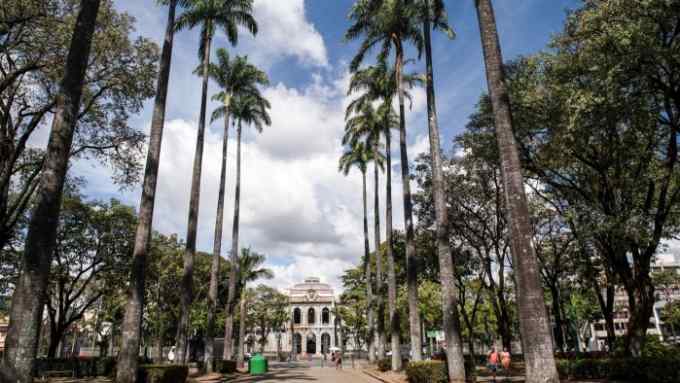 A scenic view of a public square lined with tall palm trees leading to a historic building with a classical facade