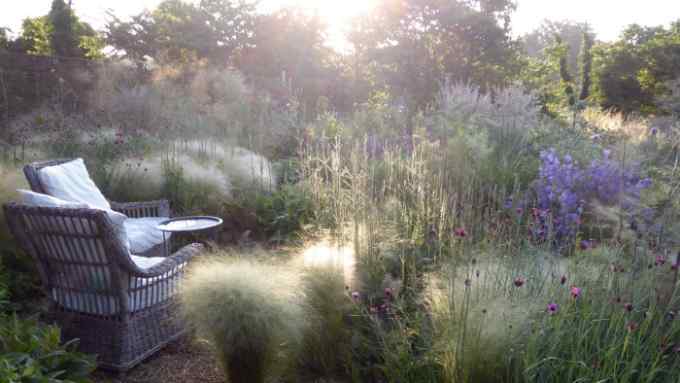 Clare Coulson’s garden in Suffolk