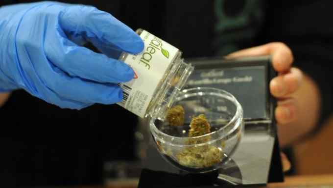 Kristen Aiesi, dispensary manager in Ware, fills a container with the Gorilla Grape Gush