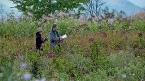 Landscape designer Dan Pearson and head gardener Midori Shintani consider plantings at the Tokachi Millennium Forest