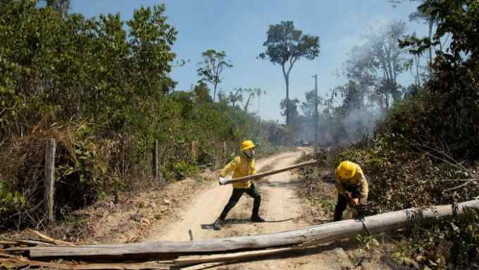 Federal environment agency workers try to hamper the spread of fire in Pará state