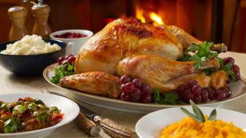 Holiday dinner with roast turkey, butternut squash, Brussels sprout, mashed potatoes and cranberry sauce, all served by a roaring fire