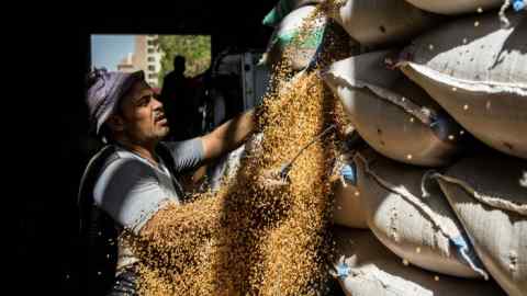 Worker delivers wheat grain