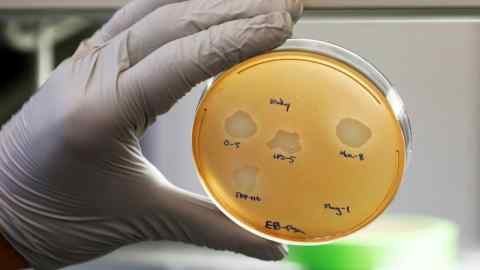 A Petri dish of drug-resistant bacteria